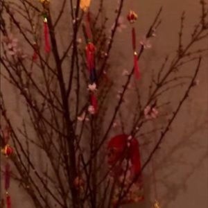 Meet your Posher, Charlie